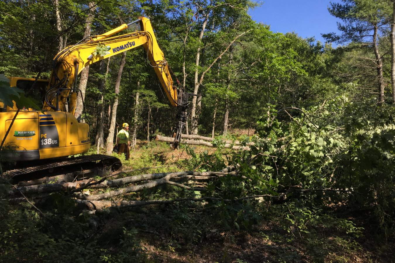 Land clearing in La Crescenta-Montrose, CA